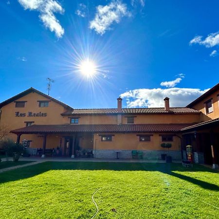 Los Reales Carrizo de la Ribera ภายนอก รูปภาพ